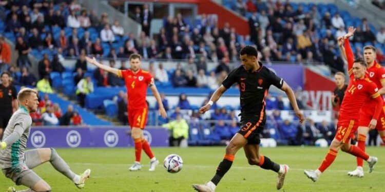 Manchester United Lirik Winger PSV Eindhoven Cody Gakpo