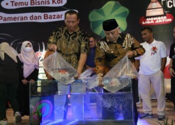 Gelar Malang Koi Show, UMM Perkuat Kelas Profesional Koi
