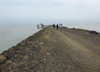 Dukung Progam Pemerintah, BUMN BKI Kawal Pembangunan Pelabuhan dan Kapal