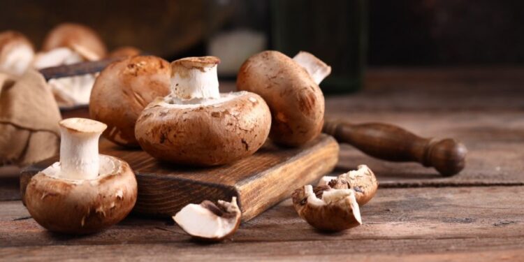 Rekomendasi Sumber Protein Bukan Daging, Ini Resep Tumis Jamur Brokoli yang Mudah Dibuat