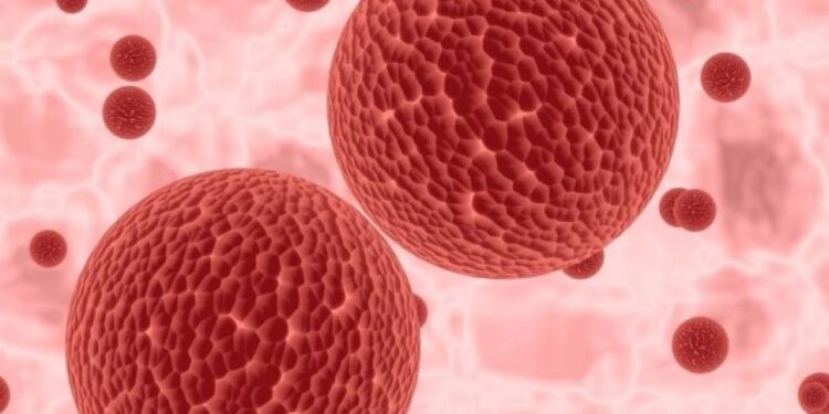 Mengenal Langya, Virus Baru dan Langka yang Sudah Menginfeksi 35 Orang di China