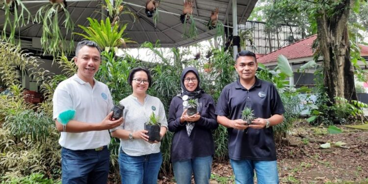 FSC Forest Week 2022 Digelar, Ada FSC Cover Song Contest