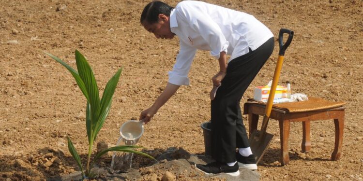 Jokowi Tanam Bibit Kelapa Genjah di Boyolali