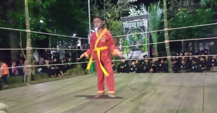 Pencak Silat Budaya Bangsa yang Harus Dilestarikan