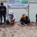 Lazis Muhammadiyah Dan UIN Sultan Maulana Hasanuddin Banten Tanam Seribu Mangrove, Untuk Kurangi Pemanasan Global