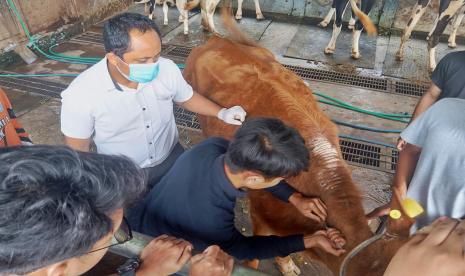 Pengabdian Tim Dosen UMM Hasilkan Limbah Bir hingga Biogas