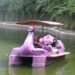 Wali Camaba Asyik Naik Bebek Viral di UMM