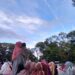 Muhammadiyah Sulsel gelar shalat Idul Adha di 25 kabupaten/kota