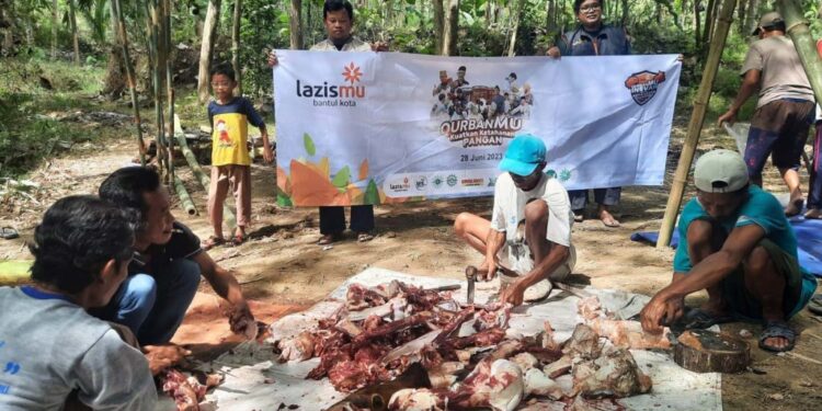 LAZISMU DIY Salurkan  370 Hewan Qurban Di 201 Lokasi