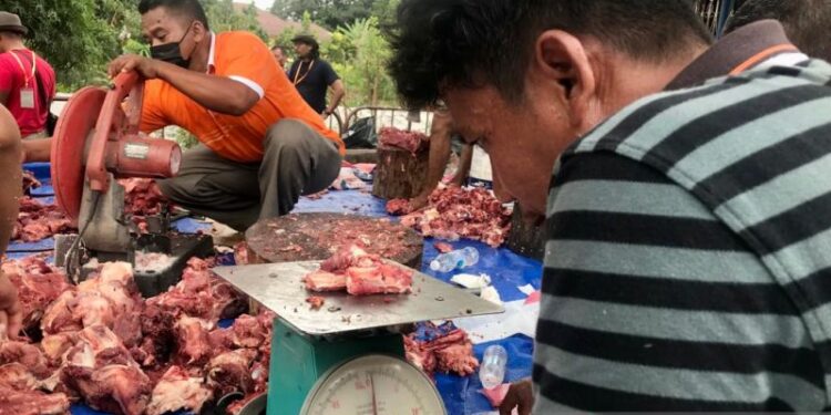 Muhammadiyah di Malaysia kurban puluhan lembu dan kambing di Idul Adha