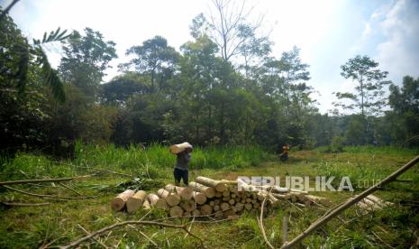 Cangkringan Jadi TPS Sementara, Rektor UMY: Tidak Cukup