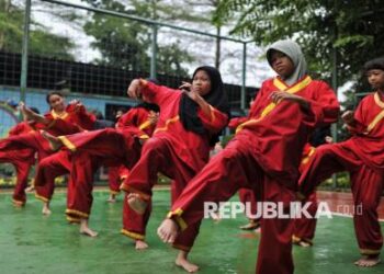 Kabar Gembira Buat Garut, Anggota DPR: Garut Jadi Lokomotif Pengembangan Silat