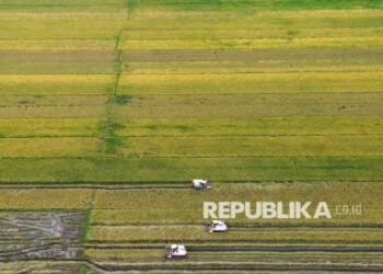 Amran Optimistis Produksi Beras 2025 Di Atas Target 32 Juta Ton