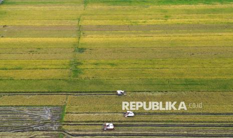 Amran Optimistis Produksi Beras 2025 Di Atas Target 32 Juta Ton