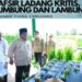 Catatan Cak AT: Tafsir Ladang Kritis, Lumbung dan Lambung