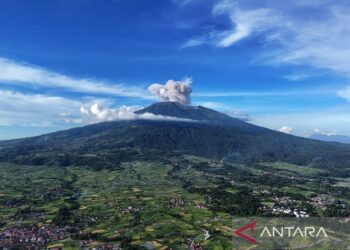 Kemarin, paket soal UTBK sampai Pemkot Kediri ralat jabatan Kaesang
