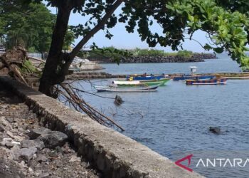 BMKG: Kecepatan angin sebabkan gelombang tinggi di perairan kepulauan