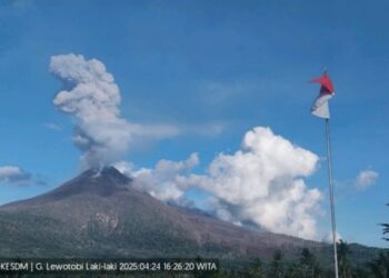 Gunung Lewotobi Laki-laki delapan kali erupsi sepanjang Kamis