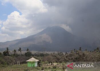 Gunung Lewotobi Laki-laki meletus 110 kali selama delapan hari