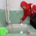 Pemkot Jakut libatkan warga untuk kendalikan kasus DBD