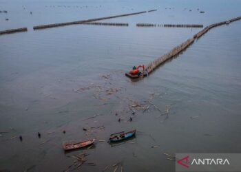 Bareskrim tangguhkan penahanan 4 tersangka pagar laut Tangerang