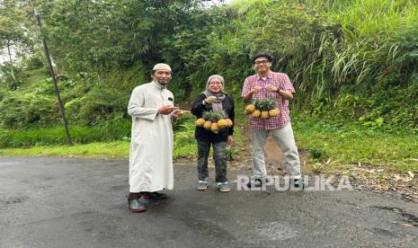 900 Petani Lokal Dukung NanasQu Binaan Pertamina Tembus Pasar Ekspor