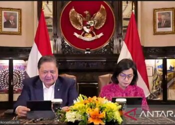 Sri Mulyani ungkap hasil pertemuan dengan Menkeu AS