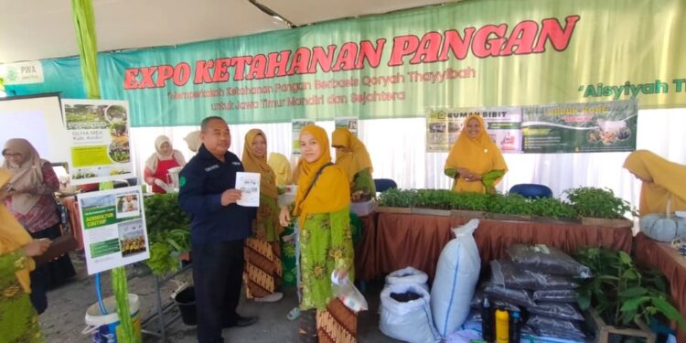 Aisyiyah Kabupaten Kediri Wujudkan Ketahanan Pangan lewat Gerakan Lumbung Hidup Aisyiyah