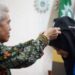 UMSU Lepas Mahasiswa FAI & FIKTI Ikuti KKN dan Magang Internasional di Tiga Negara