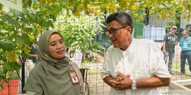 Kelompok KKN Tematik 22 UMJ Hadiri Kegiatan Panen Anggur Lokal di Tangsel