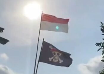 Dari Anime ke Aksi Sipil: Fenomena Bendera One Piece dan Respons Publik