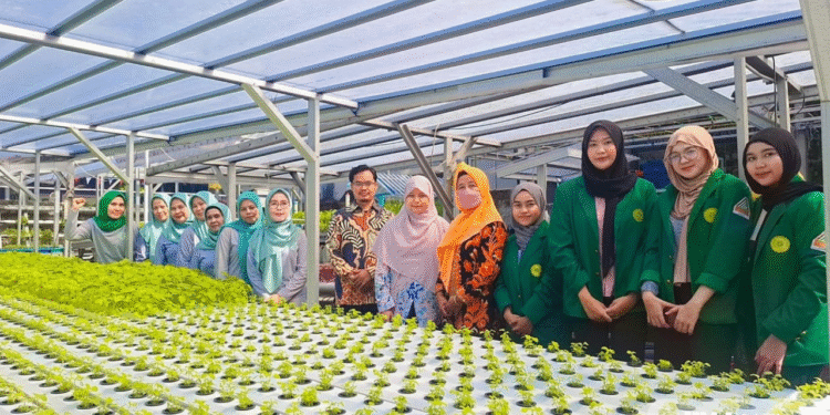 UMJ Terapkan Teknologi Smart Hidroponik Bertenaga Surya Terintegrasi IoT pada Mitra P4S Hidroponik Generik