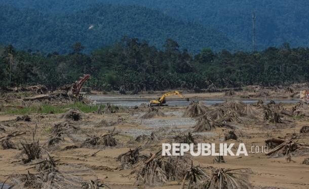 900 Ribu Hektare Perkebunan Sawit Dikembalikan Jadi Hutan Konservasi