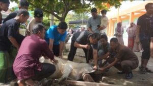 Kebersamaan Santri dan Warga Warnai Idul Adha di Pesantren Muhammadiyah Kwala Madu