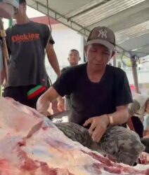 Muhammadiyah Pematangsiantar Berkurban, 45 Sapi dan 24 Kambing
