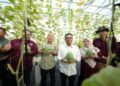 Rektor UMSU Panen Melon Hydroponik, Dorong Pengembangan Greenhouse Sebagai Inovasi Pertanian Modern