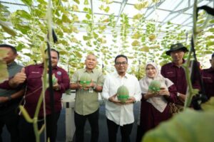 Rektor UMSU Panen Melon Hydroponik, Dorong Pengembangan Greenhouse Sebagai Inovasi Pertanian Modern