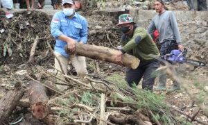 Panggilan Kemanusiaan: Mari Bergabung Jadi Relawan MDMC Sumatera Utara