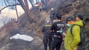 LAPK: Stop Berdalih, Karhutla Adalah Kejahatan Ekologis dan Cacat Layanan Publik